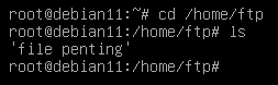 image title images-dns
